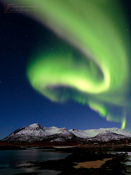 Aurora boreal, Senja